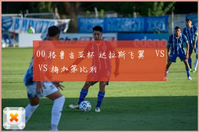 00 格鲁吉亚杯 达拉斯飞翼 VS VS 梅加第比利