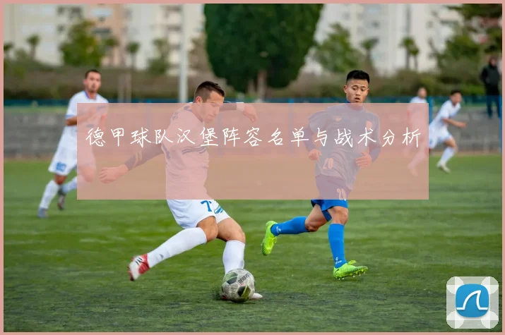 德甲球队汉堡阵容名单与战术分析